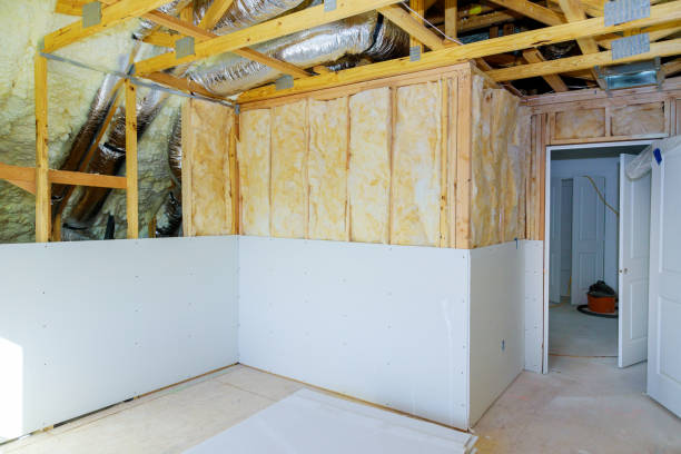 Best Insulation Inspection Services  in River Grove, IL