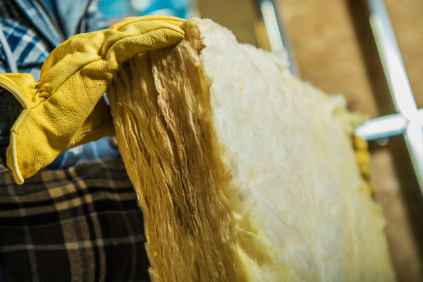Best Soundproof Insulation Installation  in River Grove, IL